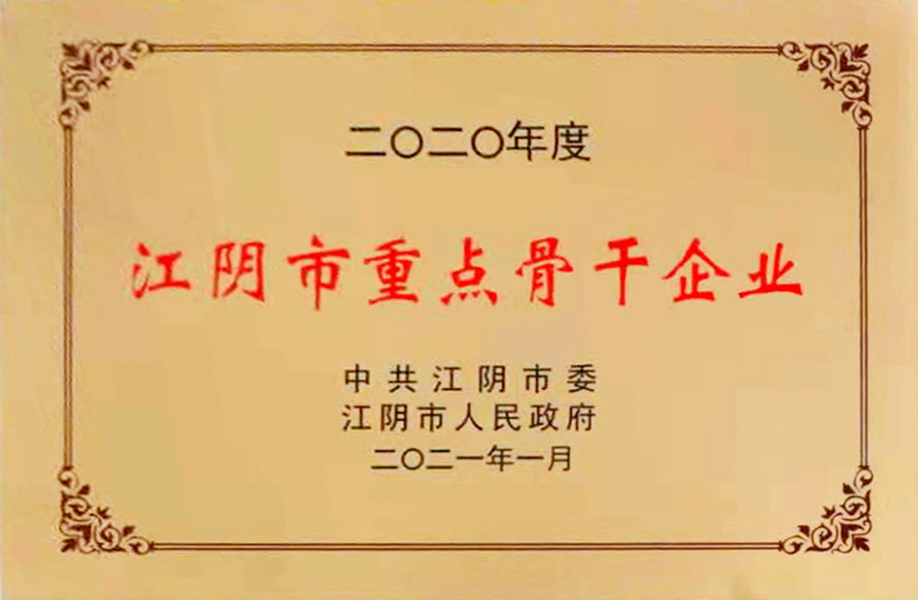 20年江陰市重點骨干企業(yè)